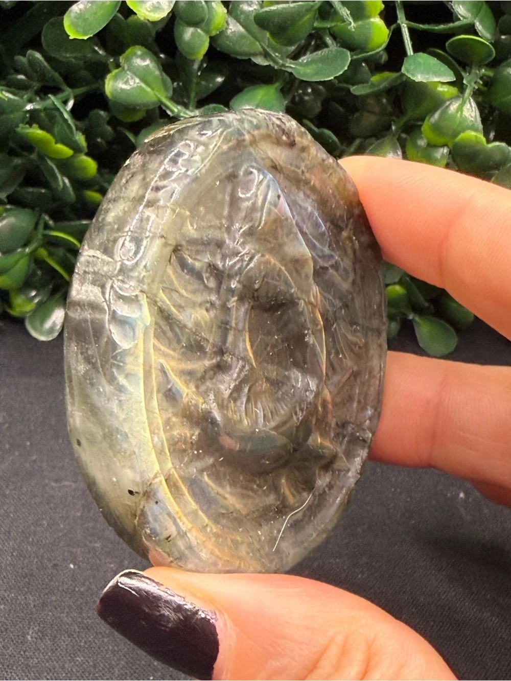 Full Flash Labradorite Shark Medallion